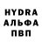 Конопля гибрид Atash Klychev