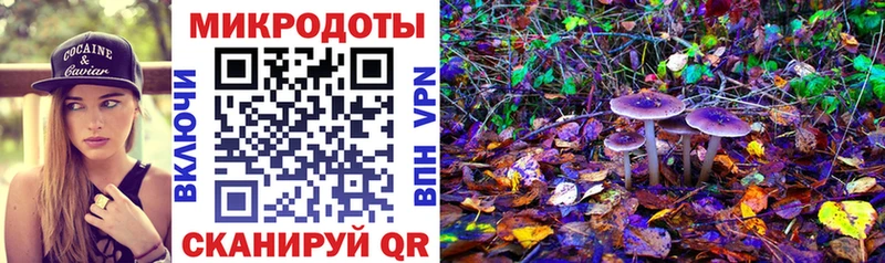 Галлюциногенные грибы мицелий  Купить где  Кочубеевское 