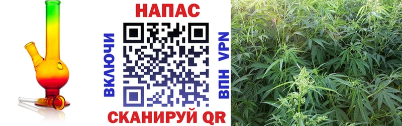 Купить где  Кочубеевское  МАРИХУАНА VHQ 